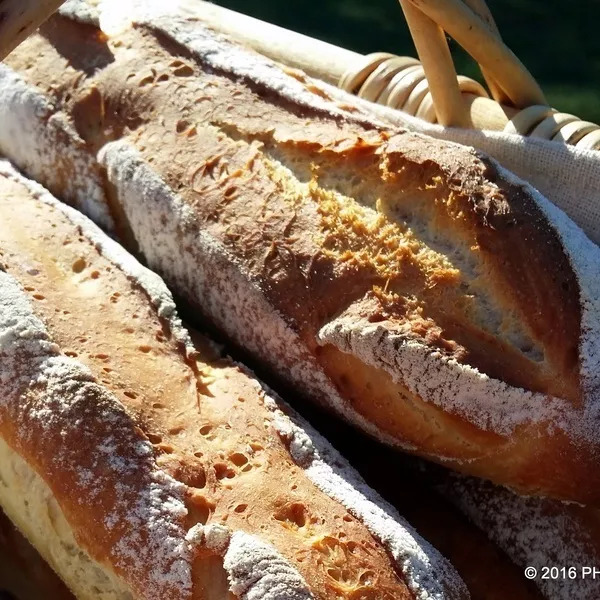 Baguettes à l'ancienne