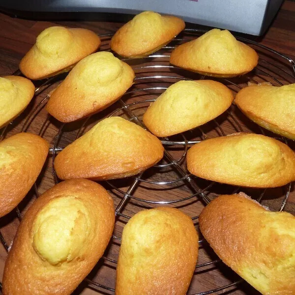 Mes Madeleines