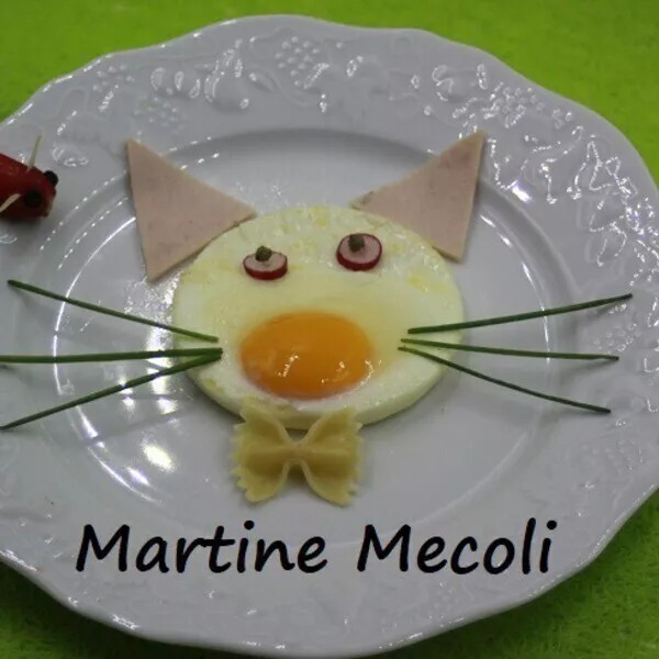 Chats sur le plat sans cook'in