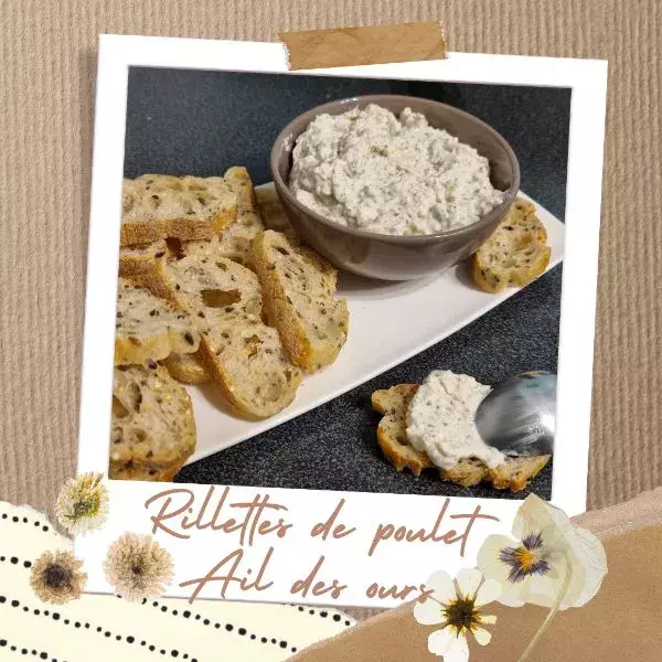 Rillettes de poulet Ail des ours 🐻 