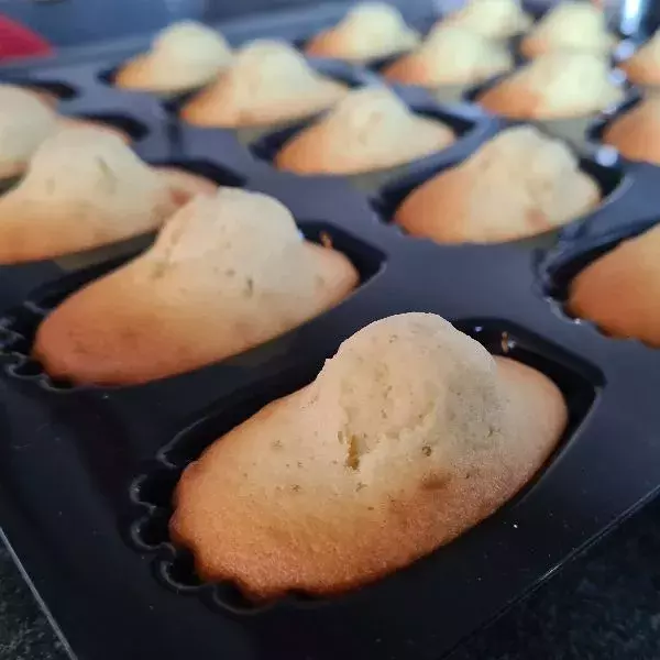 Madeleines vanille