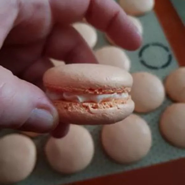 Macarons au saumon fumé