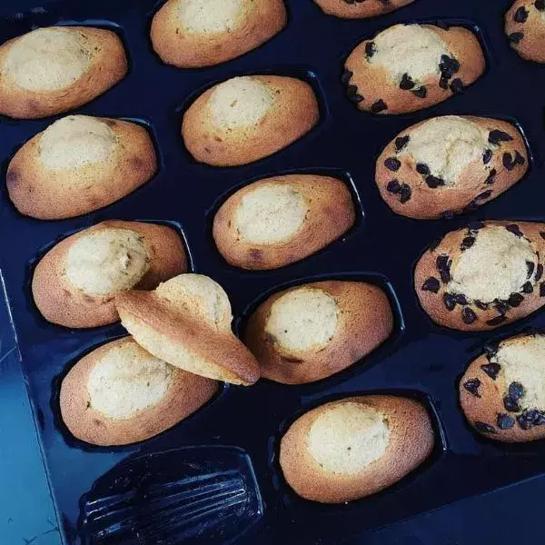 Madeleines Gourmandes 