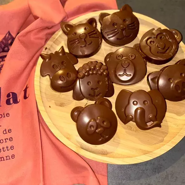 Animaux coque chocolat 