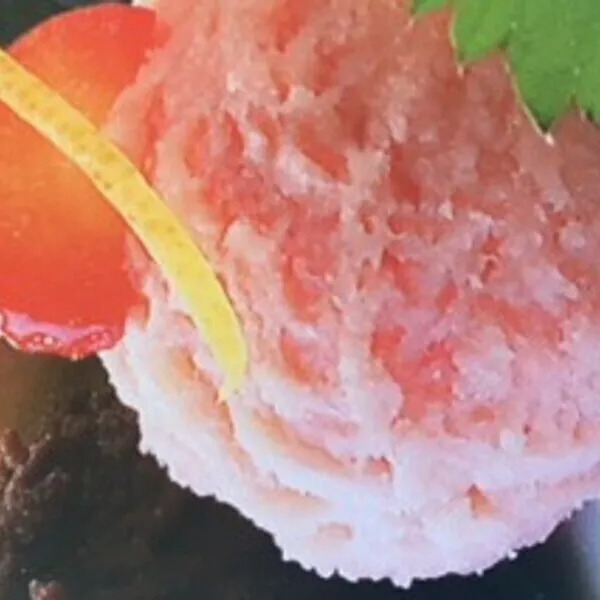 Mon sorbet aux fruits TH IG bas