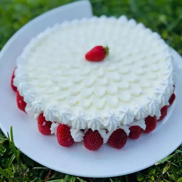 VACHERIN GLACE VANILLE FRAISES