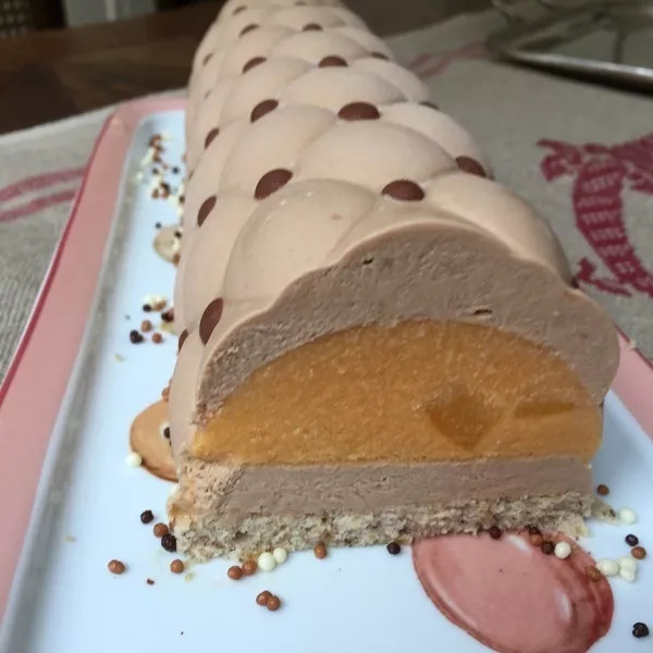 Bûche abricot praliné