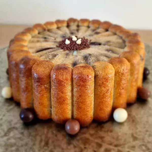 Pudding aux morceaux de chocolat 