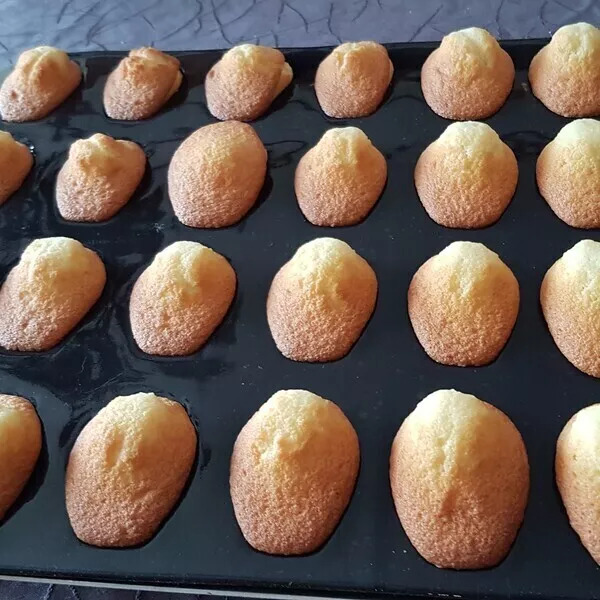 Madeleines moelleuses