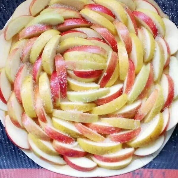 TARTES GOURMANDE AUX 2 POMMES