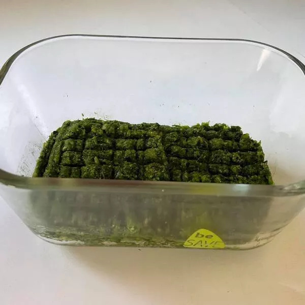 Pesto à l'ail des ours