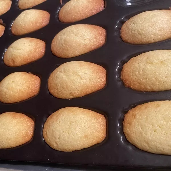 Madeleines 