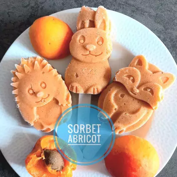 Sorbets animaux abricot