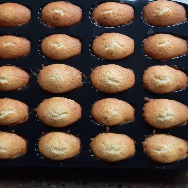 Madeleines à la vanille