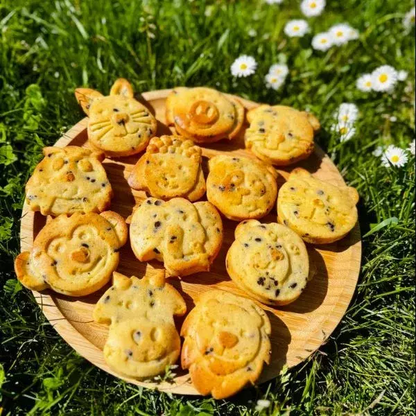 Moelleux a la pomme et aux pépites de chocolat