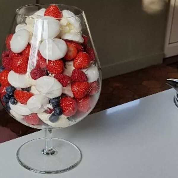 Pavlova en vase 