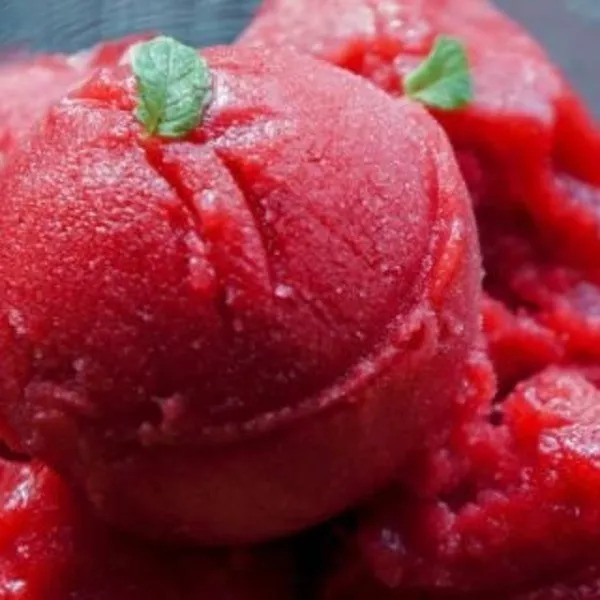 JB SORBET AUX FRUITS DES BOIS