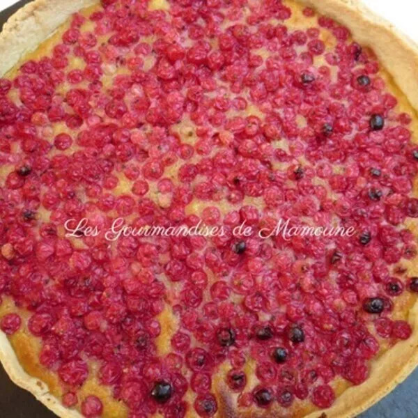 Tarte aux groseilles