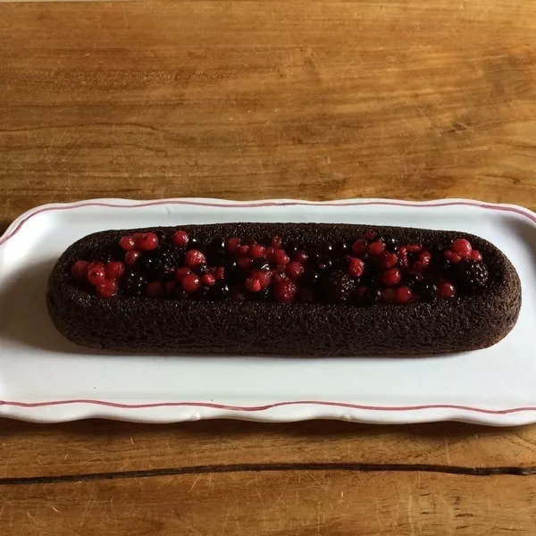 Bûche savarin chocolat et fruits rouges