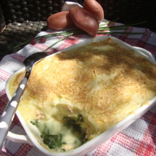 PARMENTIER DE SAUMON SUR LIT D'EPINARDS