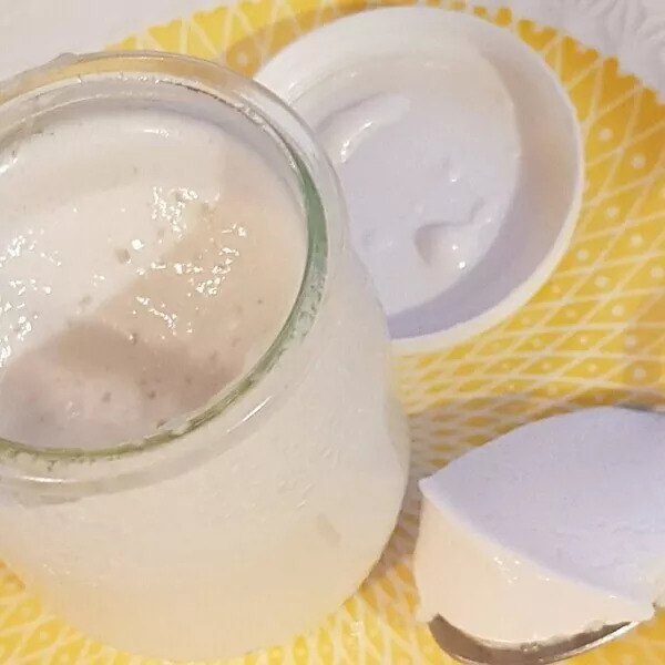 Yaourts au lait de coco