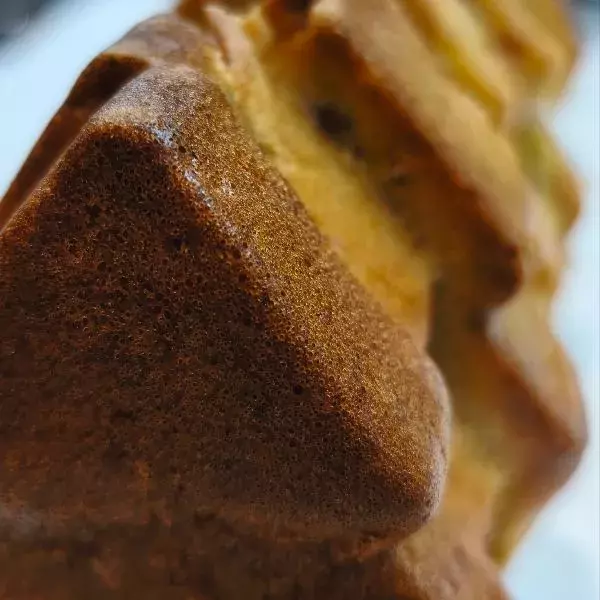 Cake bûche sapin soleil d hiver by Flo 