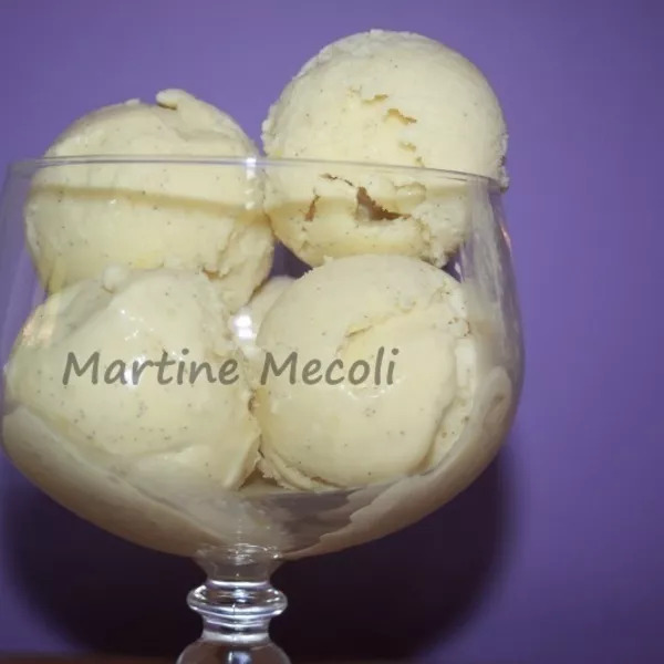 Mix pour glace à la vanille