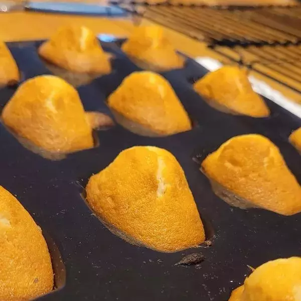 Madeleines