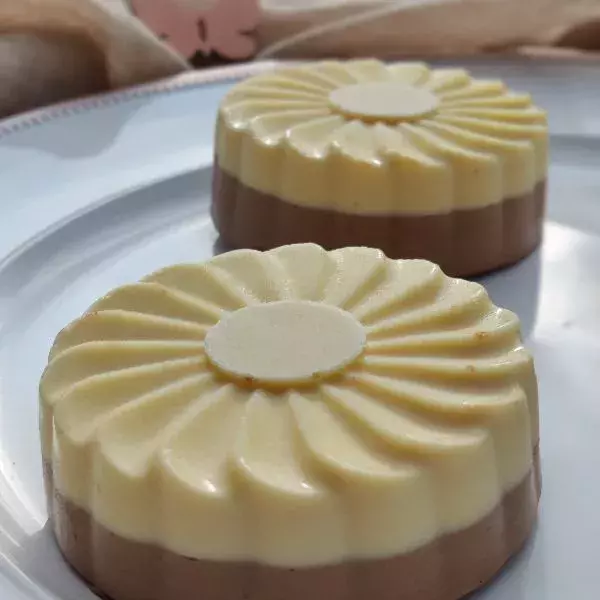 Entremets chocolat au lait - passion