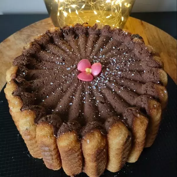 Moule charlotte : Charlotte au chocolat et madeleines fourrées noisettes 🍫