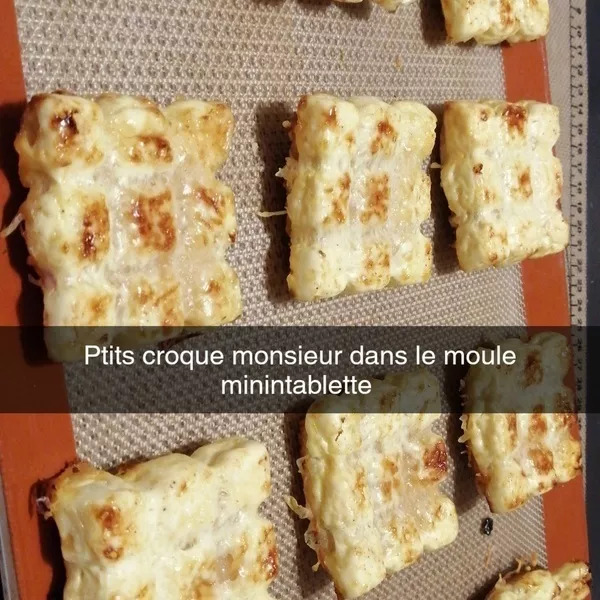 Minis croques 12 tablettes individuelles