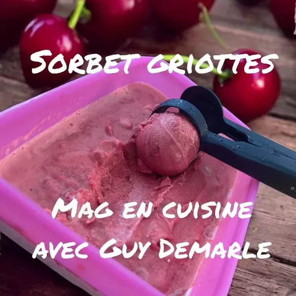 SORBET GRIOTTES