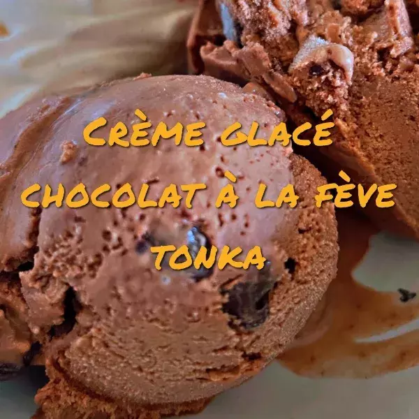 Glace Chocolat et fève Tonka