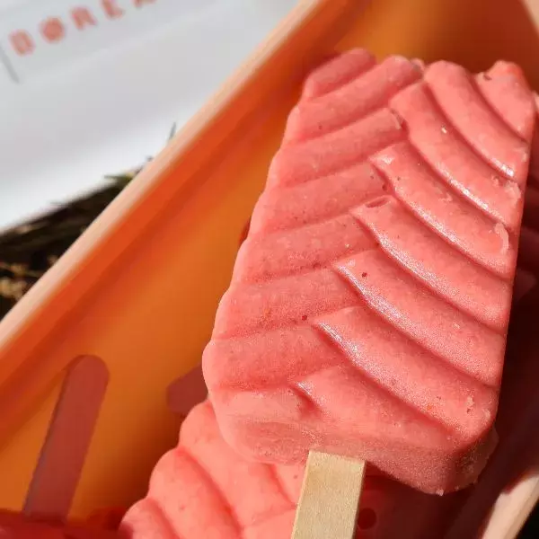 Sorbet fraise Børealia