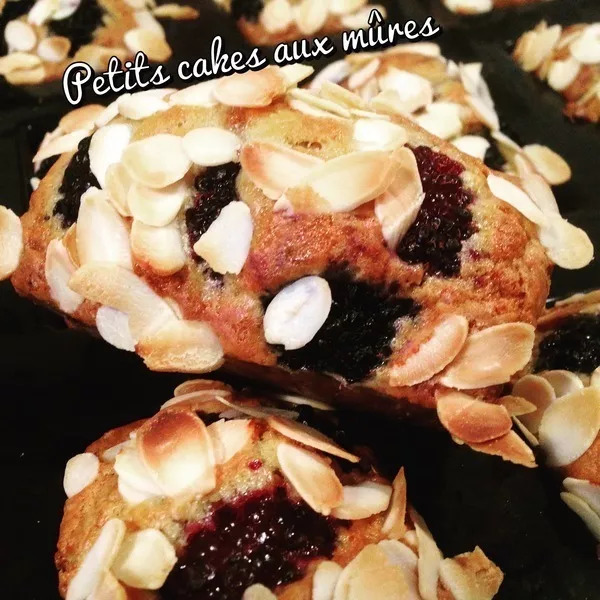 Mini-cakes aux mûres