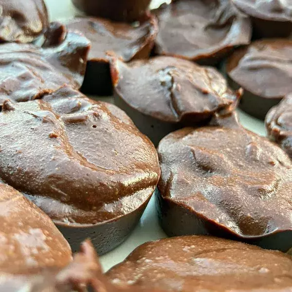 Fondants au chocolat sans cuisson