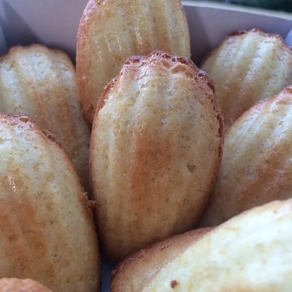 Madeleines