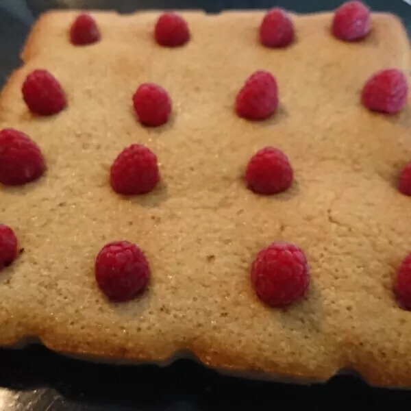 Financier Géant à la framboise 