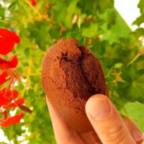 Madeleines au chocolat