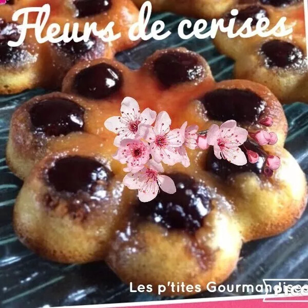 Fleurs de cerises