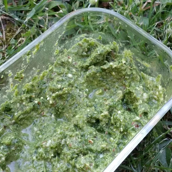 Pesto aux fanes de radis