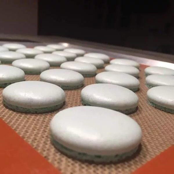 Coques macaron