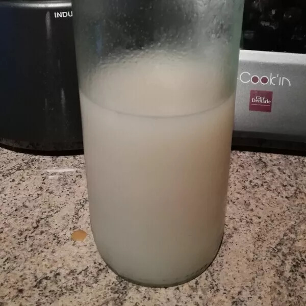 Lait de riz