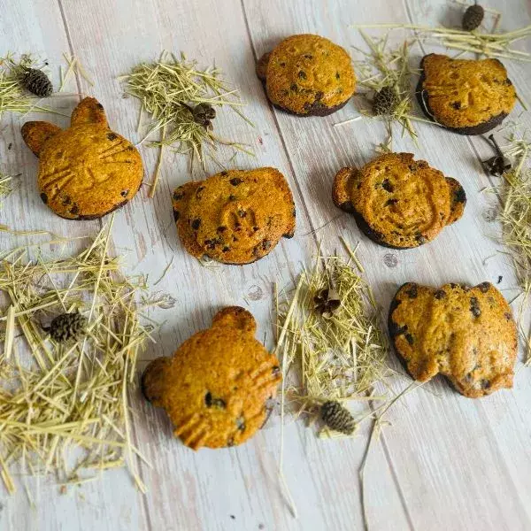 Brookies animaux