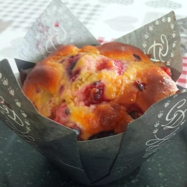 Muffins framboises, coco, et chocolat