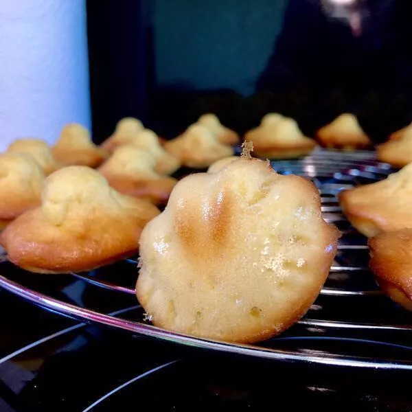 Coquilles au citron avec la bosse pleine de Mmm...