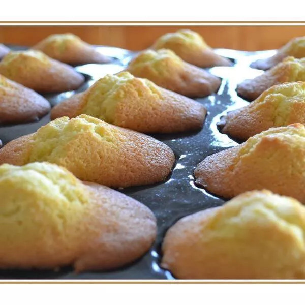 Mes madeleines au citron