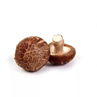 15 gramme(s) de shiitakes secs