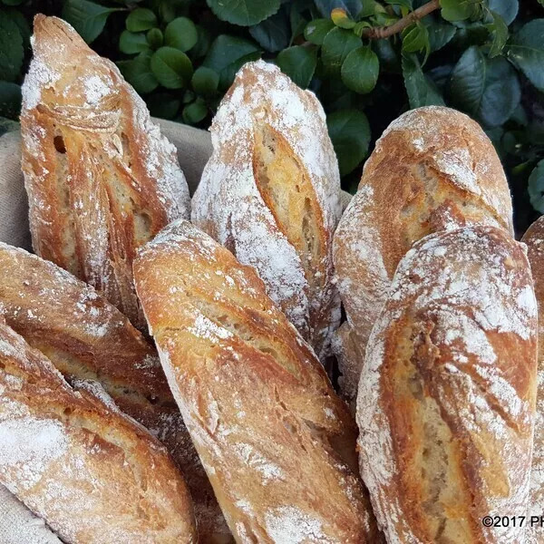 Mini-baguettes magiques semi-complètes (levure fraîche)