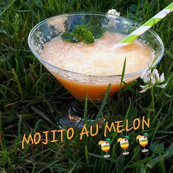 MOJITO AU MELON